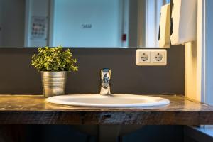 a bathroom sink with a faucet and a potted plant at Akureyri Backpackers in Akureyri