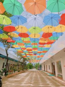 Um monte de guarda-chuvas pendurados no tecto. em NGỌC HƯNG HOTEL em Vinh Long