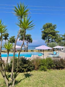 a swimming pool with palm trees and umbrellas at Aroma Beach Hotel Bungalows in Limenas