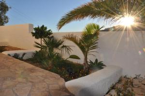 a garden with palm trees and a white wall at Mojacar Apartment Near the Beach with Private Pool in Mojácar