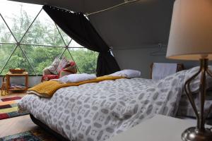 a bedroom with a bed in a room with large windows at Norwegian Wood in Rhayader