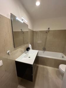 Vonios kambarys apgyvendinimo įstaigoje milano loft