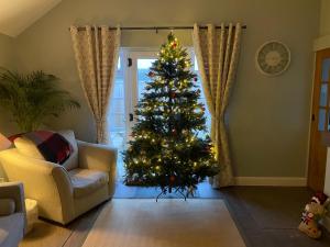 a christmas tree in a living room with a couch at Luxury, Spacious Cottage in the Black Mountains in Hereford