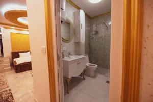 La salle de bains est pourvue d'un lavabo, d'une douche et de toilettes. dans l'établissement Hotel Premium, à Pristina