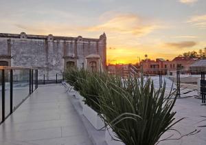 un viejo edificio con una maceta delante de él en The Andy Hotel en Querétaro