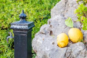 Kép Villino Agave szállásáról San Vito lo Capóban a galériában