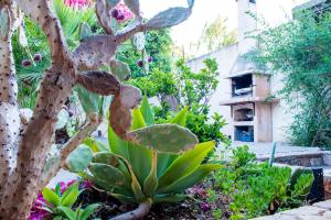 A garden outside Villino Agave