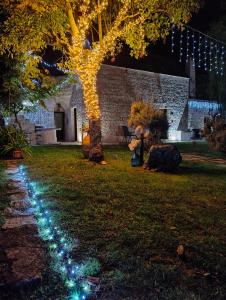 a tree with lights in a yard at night at B&B Trulli Donna Isabella in Locorotondo