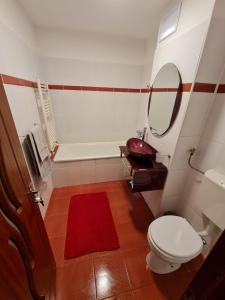 a bathroom with a toilet and a sink and a mirror at Apartament Avram in Petroşani