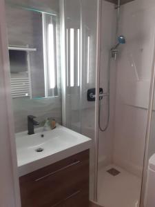 bagno con lavandino e doccia di Joli studio proche des telecabines a Uvernet