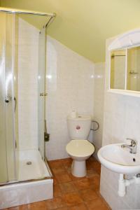 W łazience znajduje się toaleta, umywalka i prysznic. w obiekcie Hotel U Zeleného Stromu - Zum Grünen Baum w mieście Hřensko