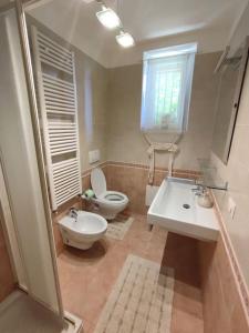 La salle de bains est pourvue de toilettes et d'un lavabo. dans l'établissement Vista lago panoramica, à Colonno