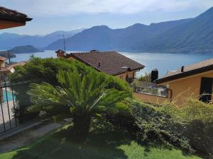 un palmier en face d'une maison et d'un lac dans l'établissement Vista lago panoramica, à Colonno