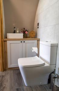 y baño con aseo blanco y lavamanos. en Valley View, en Llanfair Caereinion
