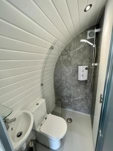 a bathroom with a toilet and a sink and a shower at Y Dderwen in Oswestry