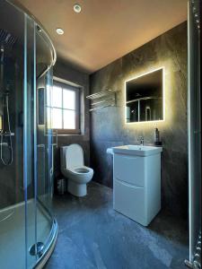 een badkamer met een toilet, een wastafel en een douche bij Lough Rooms at The Artisan in Strangford