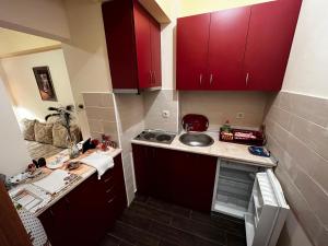 Kuchyň nebo kuchyňský kout v ubytování VIK apartman Brzece + 6 fotografií