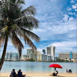 una spiaggia con una palma e persone sedute sotto un ombrellone rosso di Moderno Apartamento para parejas San Juan Puerto Rico a San Juan