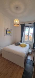 a bedroom with a large bed and a chandelier at Appartement deux chambres - Garibaldi in Lyon