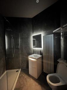 a bathroom with a sink and a shower and a toilet at Lough Rooms at The Artisan in Strangford