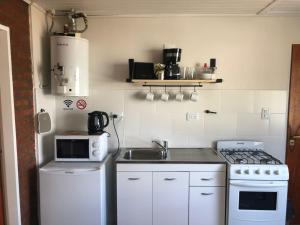 cocina con fregadero, fogones y microondas en CALAFATE CENTER APARTS en El Calafate