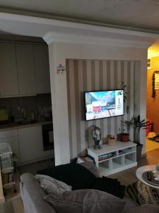 uma sala de estar com uma televisão de ecrã plano na parede em Lux apartman Lena em Belgrado