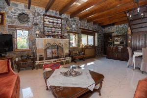 una gran sala de estar con una pared de piedra. en Villa Galateia, en Dhafnés