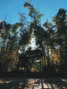 Naturlandskabet i nærheden af lejligheden