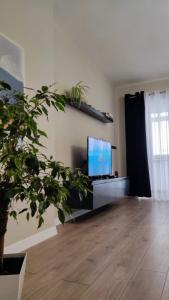 Piazza_Apartments_Tirana tesisinde bir televizyon ve/veya eğlence merkezi