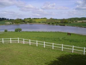 Ảnh trong thư viện ảnh của Moorberghof ở Sagau