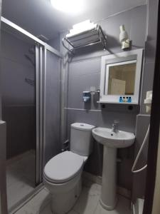 a bathroom with a toilet and a sink and a mirror at Konut Wooden House in Istanbul