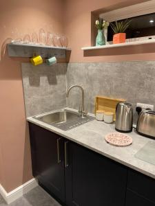 - une cuisine avec un évier et un comptoir dans l'établissement Luxury flat in Totnes, à Totnes