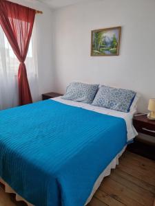 a bedroom with a bed with blue sheets and a window at Cabañas Aquila D'Arroscia in Bahia Inglesa