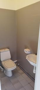 La salle de bains est pourvue de toilettes et d'un lavabo. dans l'établissement Studio Cosi idéalement placé Au Cœur de Ville, à Bourges