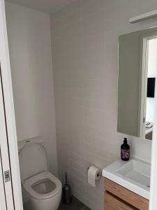 La salle de bains est pourvue de toilettes, d'un lavabo et d'un miroir. dans l'établissement Stylish 2 bedrooms townhouse in central Wellington, à Wellington