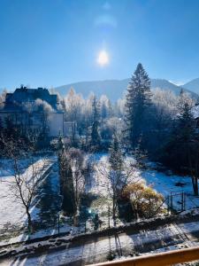 a snow covered field with trees and a building at Ośrodek Wypoczynkowy Start in Zakopane
