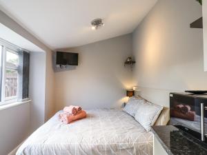 a bedroom with a bed and a tv on the wall at The Park Inn Piggery in Newton Abbot