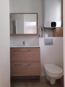 a bathroom with a toilet and a mirror at studio 29 rue des potiers in Fréjus