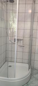 a shower with a glass door in a bathroom at Ferienhaus-Zum-Eichkater-am-Duemmer-See 