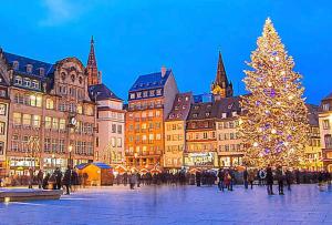 a christmas tree in a town square with a christmas tree at Strasbourg «La source de ValAuRa » De l’Eau à l’Or in Strasbourg