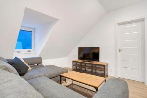 un soggiorno con un divano e una TV di Apartmán Kryštof - Jáchymov a Jáchymov