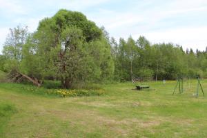 a park with a tree and a bench in a field at Viisi Leipää in Tokrajärvi
