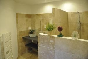 Ένα μπάνιο στο Charmante villa en Provence +12 φωτογραφίες