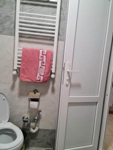 a bathroom with a shower door and a toilet at Saburtalo in Tbilisi City