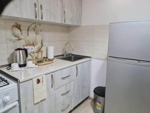 Saburtalo في تبليسي: مطبخ أبيض مع حوض وثلاجة