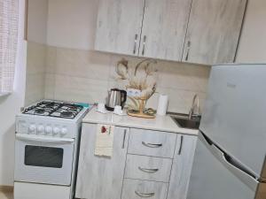 una pequeña cocina con fogones y nevera. en Saburtalo en Tiflis