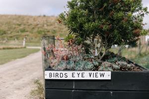 Fotografie z fotogalerie ubytování Birds Eye View v destinaci Havelock North