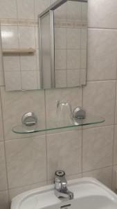 a bathroom with a glass shelf above a sink at Hotel Bad Langensalza Eichenhof in Bad Langensalza +55 photos