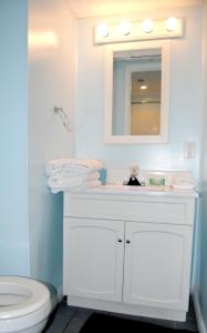 ein Badezimmer mit einem weißen Waschbecken und einem WC in der Unterkunft Hoosier Inn- Indiana University in Bloomington