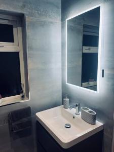 a bathroom with a sink and a mirror at 2 Bed fully furnished apartment in Cookstown